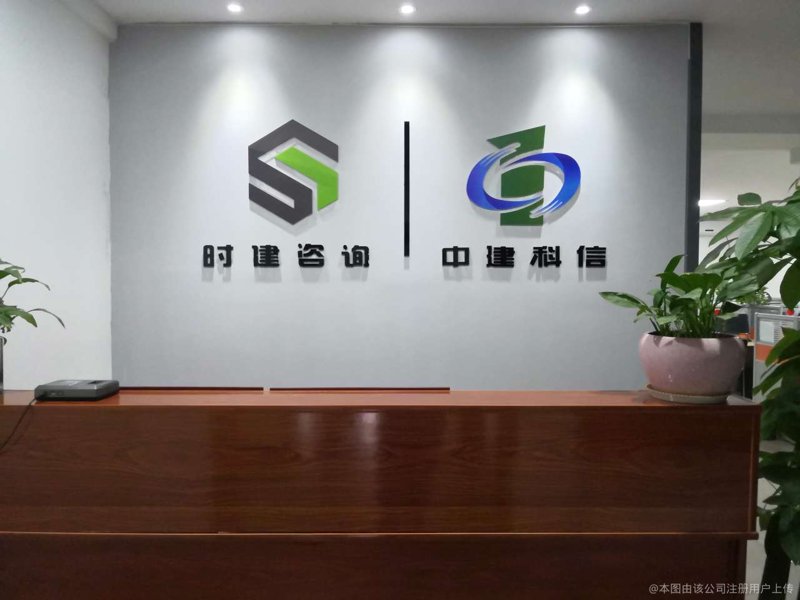 选择信息咨询公司：一份实用的选购指南